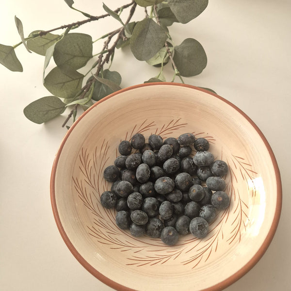 Ceramic Branches Bowl - Light